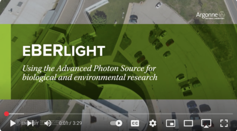 eBERlight video